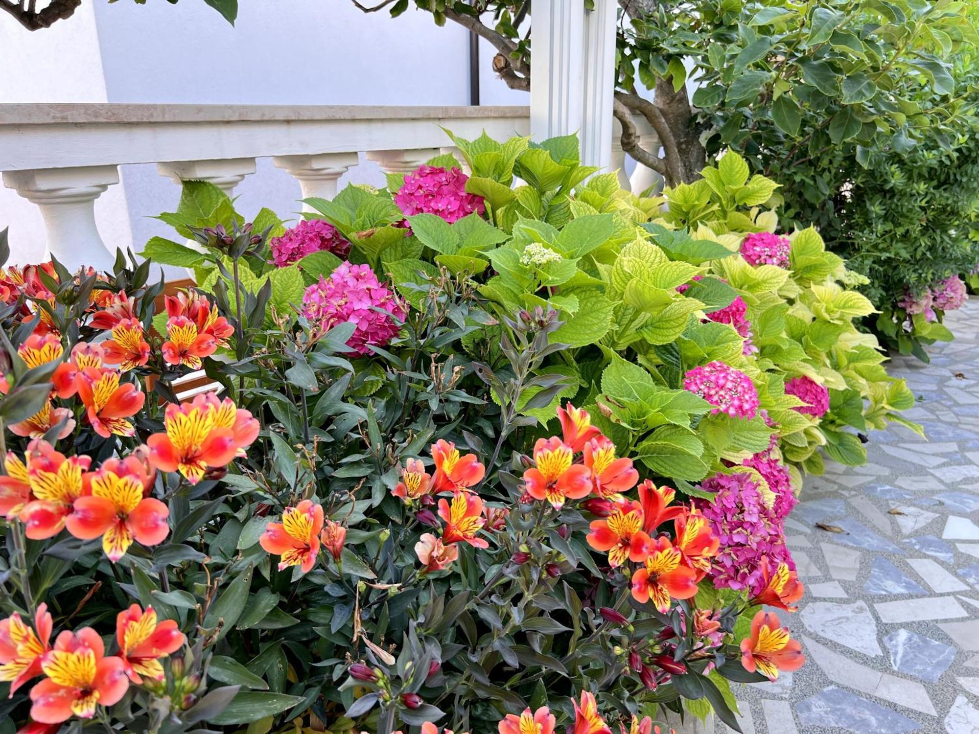 Bed & Breakfast Rab Palit Екстериор снимка
