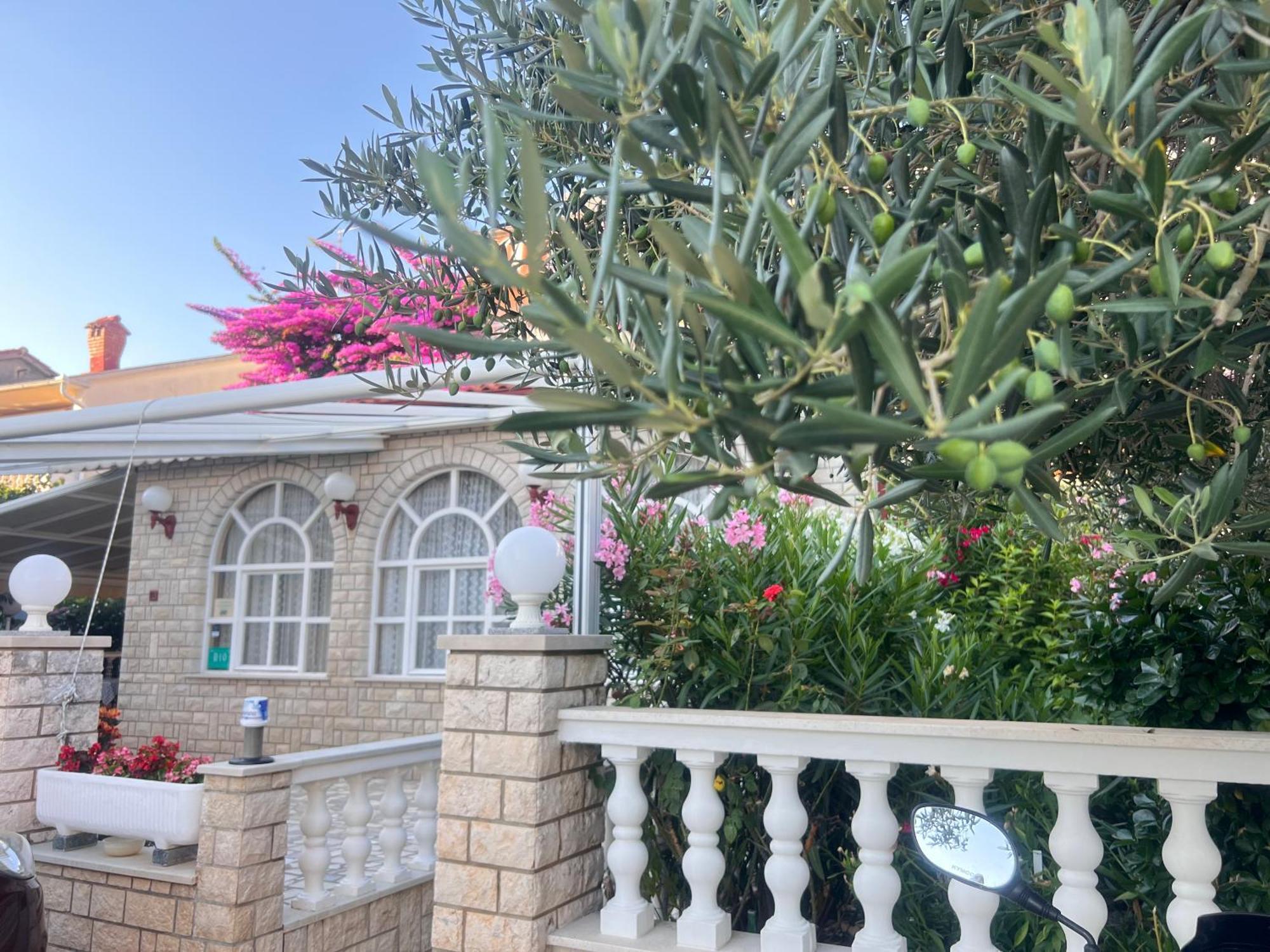 Bed & Breakfast Rab Palit Екстериор снимка