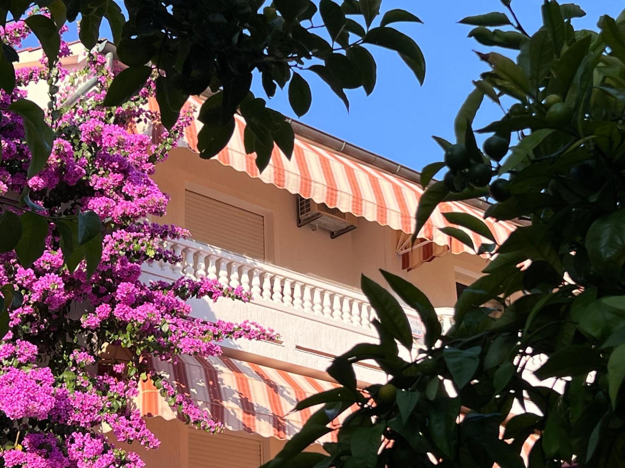 Bed & Breakfast Rab Palit Екстериор снимка